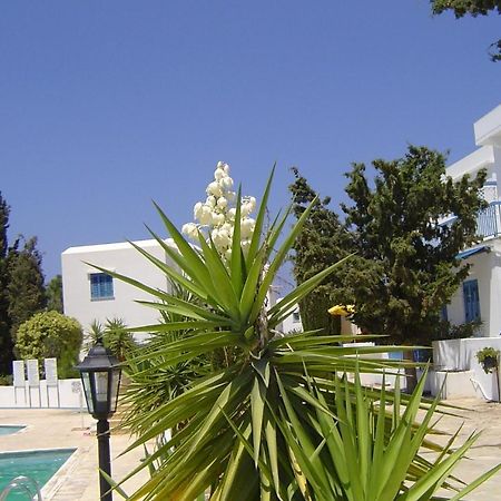 Ikaria Village Maisonette 12 Paphos Exterior photo